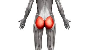 THE IMPORTANCE OF STRONG GLUTES
